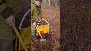 сбор клюквы, новые грабли по клюкве. www.sbor-yagod.ru