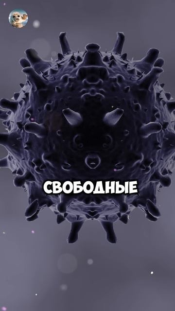 На Байкале золотая лихорадка #байкал #новости #золото смотреть онлайн