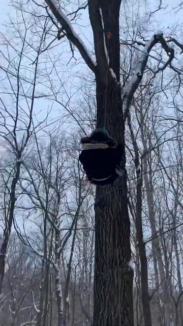 Жумарный жумар, жумарит в центре парка. МЧС спасатель. смотреть онлайн