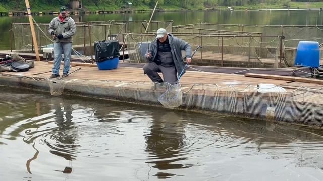 Поимки спорт зона смотреть онлайн
