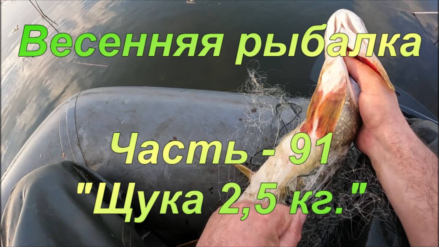 Весенняя рыбалка. Часть - 91. "Щука 2,5 кг.". смотреть онлайн