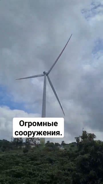 Ветряные электростанции Вьетнам. #vietnam #вьетнам #ветря?