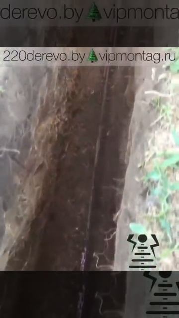 Контур защитного заземления смотреть онлайн