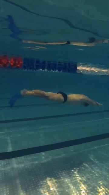 с 0 до 100! Резкий дельфин смотреть онлайн