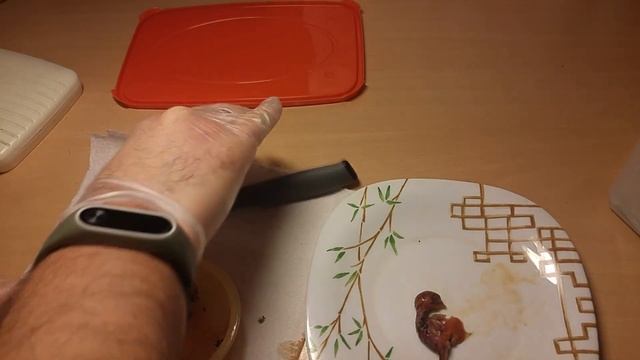 Слабонервным не смотреть!18+ Окончание эксперимента по выведению перепелов в квартире. смотреть онлайн