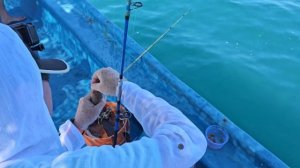 Нереальный клёв в Нячанге! Морская рыбалка, которая уд