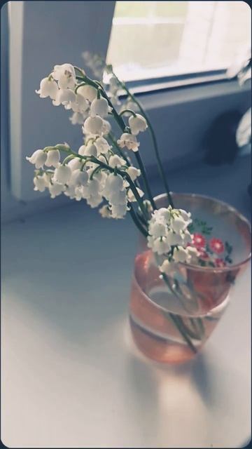 Дарите женщинам цветы 😍 #moments #love #цветы #ландыш #2024 #лю? смотреть онлайн