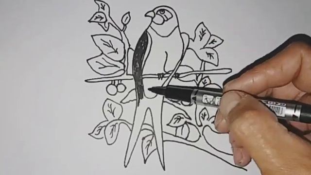 Rasm Chizish Qaldirg‘och Rasmini Chizish как нарисовать ласточка