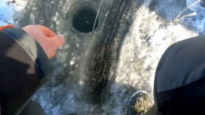 ВО ПОПЁРЛО!!! Зимняя рыбалка на экраны. Ловим со льда.