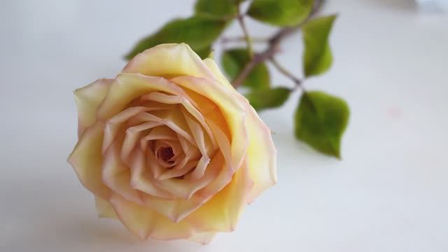 Лепка. Роза из холодного фарфора часть 1 смотреть онлайн