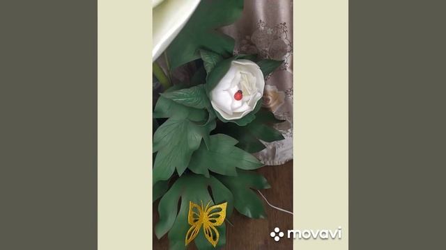 Настольный куст пиона. смотреть онлайн