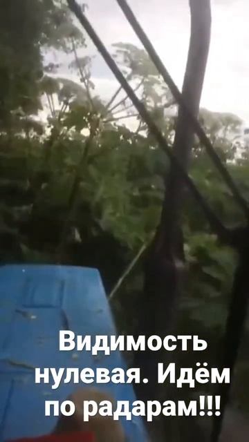 Покос борщевика на запущенном участке