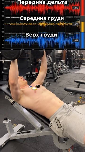 Верх груди по науке. Мой инст :alexeysmirnov__ смотреть онлайн