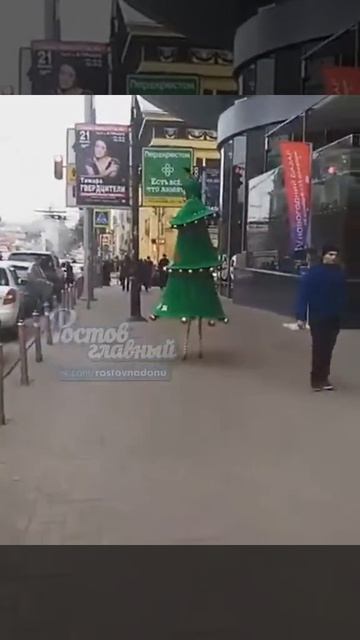 Ростовская ходячая ель 18 11 2017 Ростов на Дону Главный смотреть онлайн