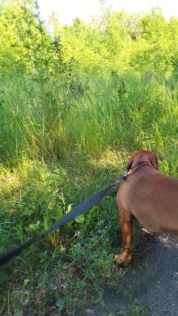 Как же летом все таки хорошо смотреть онлайн