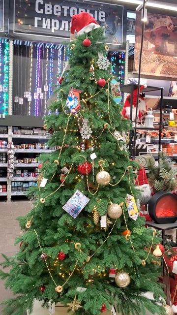 ОБИ Новогодний базар 18.11.24г смотреть онлайн