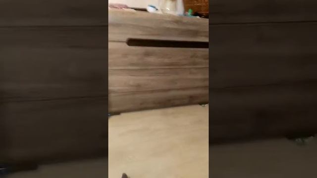 Парник во сне смотреть онлайн