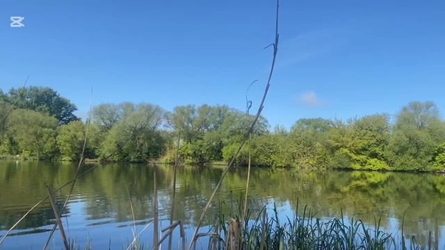 природа смотреть онлайн