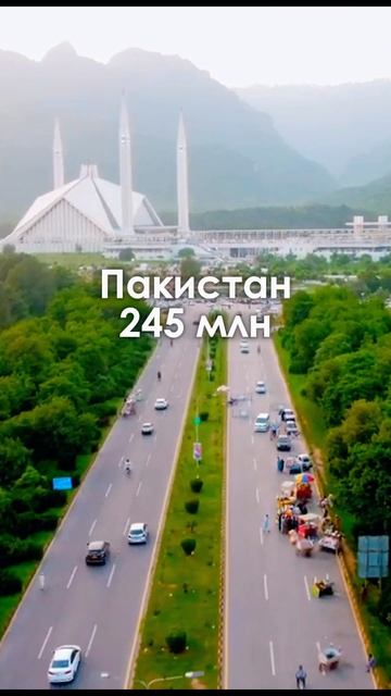 Самые большие страны по населению #shorts #история #стран смотреть онлайн