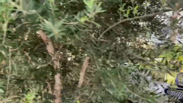 Обзор отеля«Royal Azur Thalasso 5*»Hammamet L Holiday,Tunisia