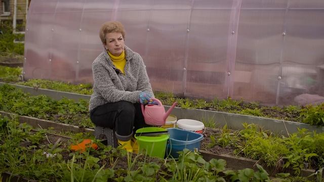 Чем подкормить клубнику после заморозков смотреть онлайн