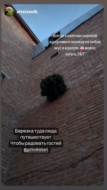 #веникидлябани #бассейн #ремонт #топ #отдых #relax # смотреть онлайн