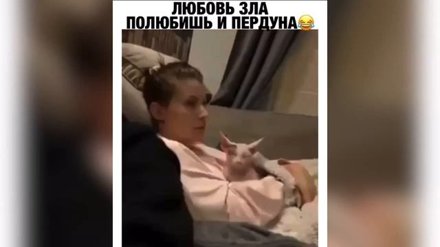 Взрослый юмор |ПРИКОЛЫ 2021|засмеялся подписался| Best Coub 2021 |Смех до слез| шутки| юмор| coub | смотреть онлайн