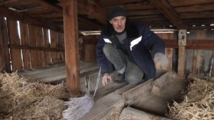 Начало утепления потолка курятника // Как утеплить пот