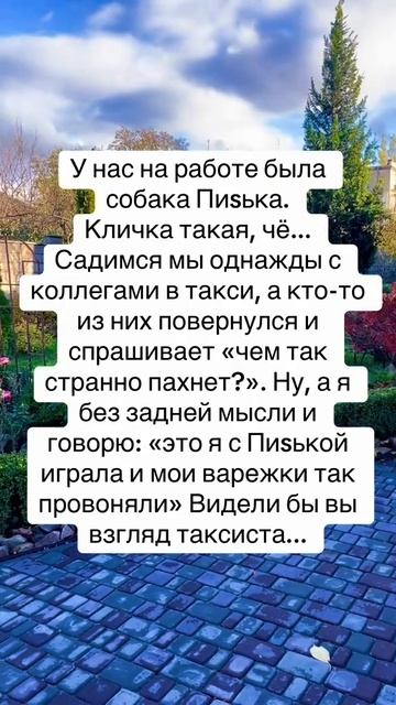 Анекдот🤣🤣👍