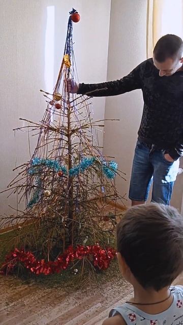 Первая наша ЁЛКА. Не знали как ухаживать) ➤ #shorts смотреть онлайн