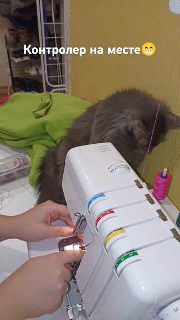 Заправка оверлока под чутким руководством:) #sewing #шить?