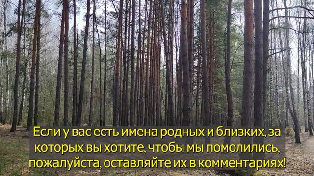 🙏Пропустишь 5 ноября потом не жалей Сильная молитва П