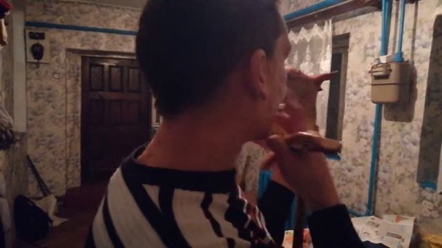 сельские приколы Вазона смотреть онлайн