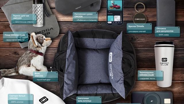 Аксуссуары Omoda