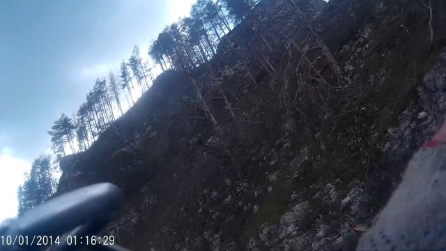 Курочкин троллей