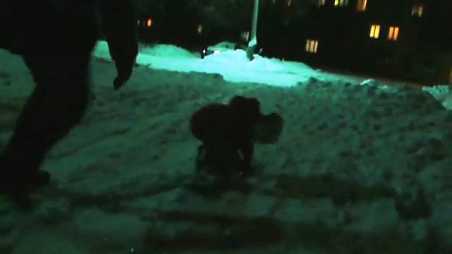 Двухлетняя сноубордистка (первый опыт).MOV