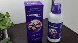 Лучшие сорта моей коллекции фиалок.