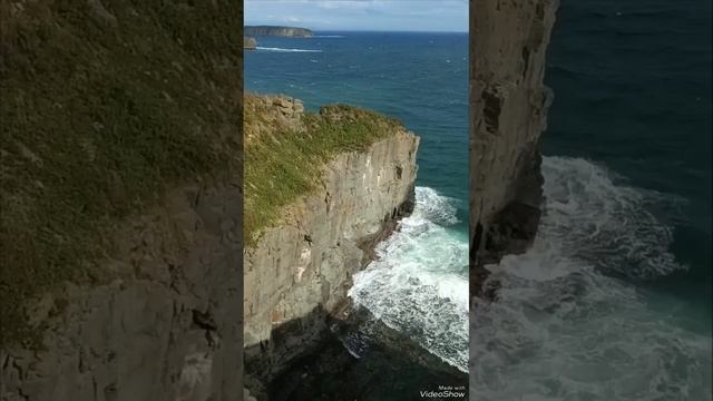 #КрайЗемли / Тихий Океан / остров Русский смотреть онлайн