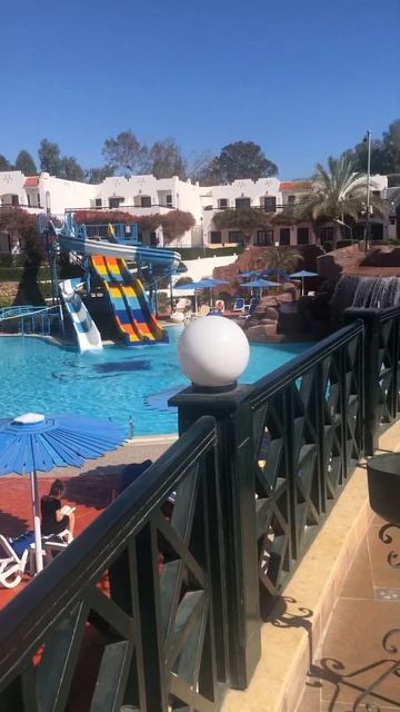 Verginia Sharm Resort & Aqua Park январь 2025г. смотреть онлайн