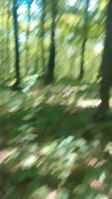 шашлыка поесть😋.Тамбовский волк. смотреть онлайн