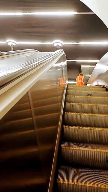 #станцияпетровскийпарк #метро #поезда #москва #москва24 смотреть онлайн