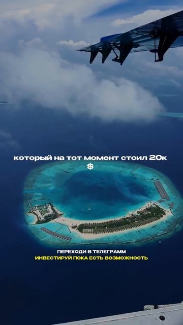 ВСЯ ИНФОРМАЦИЯ В ШАПКЕ ПРОФИЛЯ #shorts #криптовалюта #ton #б смотреть онлайн