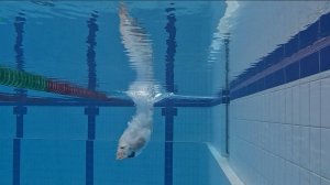 Разбор работы ног в кроле. Переход от 2х ударной к 4х ударной технике работы ног.