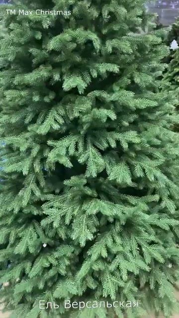 Искусственная елка Версальская, Max Christmas смотреть онлайн