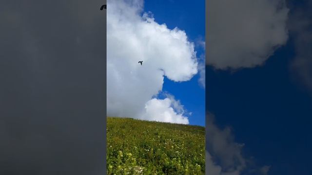 Там где нет никого, ты становишься тем кто ты есть 🏔️? смотреть онлайн