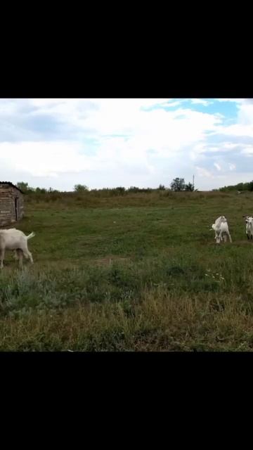 очень интересно побывать в других местах, где есть мал смотреть онлайн