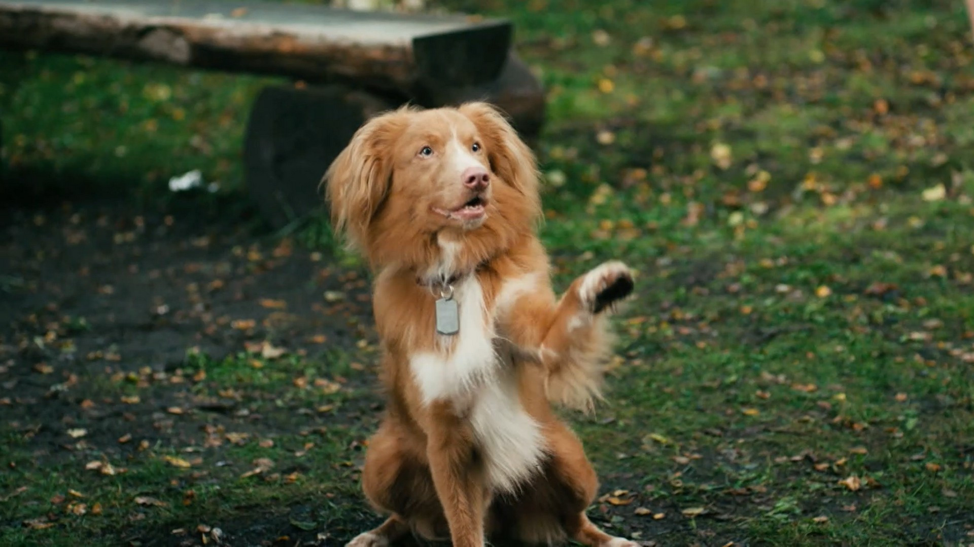 Пять минут тишины, 1 сезон, 5 выпуск смотреть онлайн