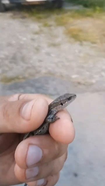 на рыбалку поехали смотреть онлайн