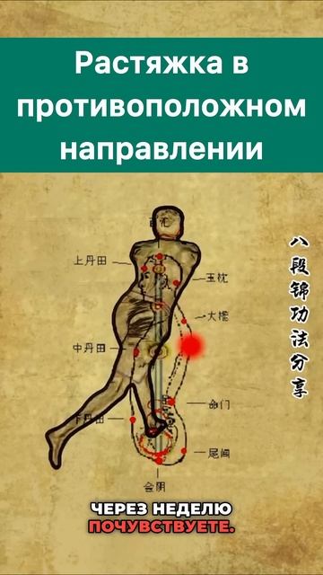 Упражнение, которое поможет решить проблемы с талией. смотреть онлайн