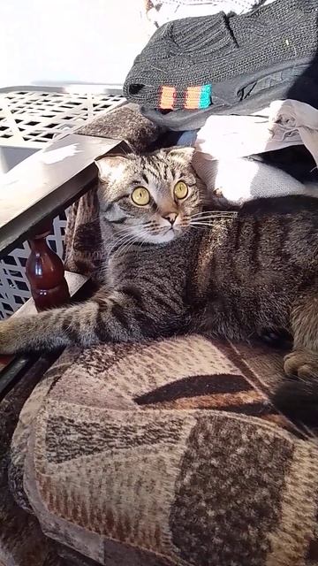 Последнее слово должно быть за мужчиной!!! смотреть онлайн